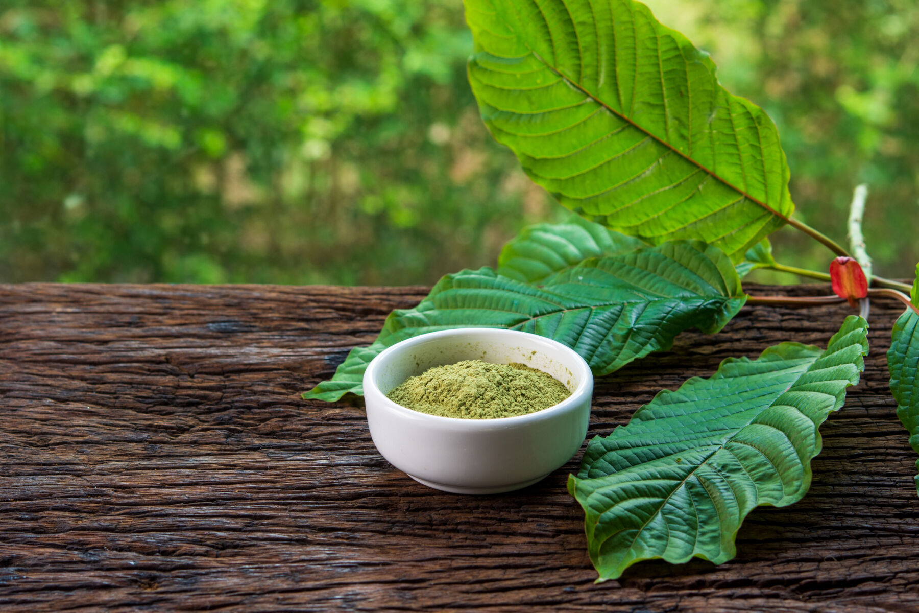 How to Identify Pure Green Maeng Da Kratom