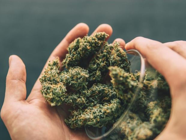 Harnessing THCA Flower Benefits for Skin Health and Anti-Aging