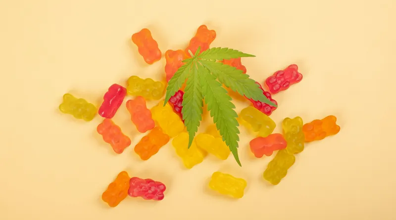 Flavor Driven Edibles Providing Steady Dosing For Confident Everyday Cannabis Enjoyment